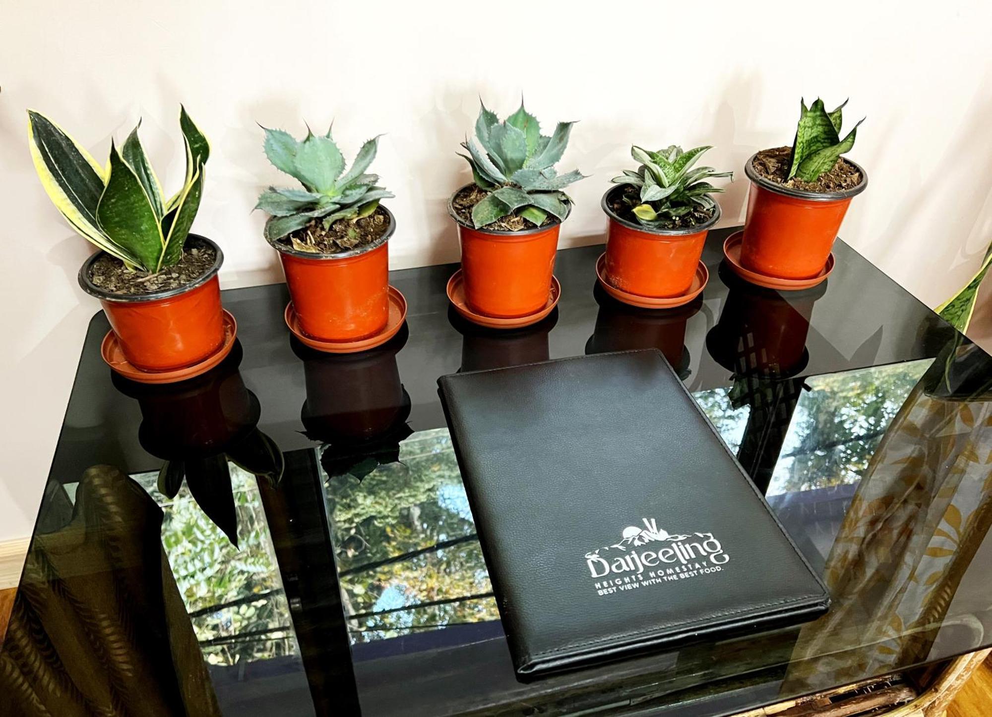 Darjeeling Heights - A Boutique Mountain View Homestay ห้อง รูปภาพ